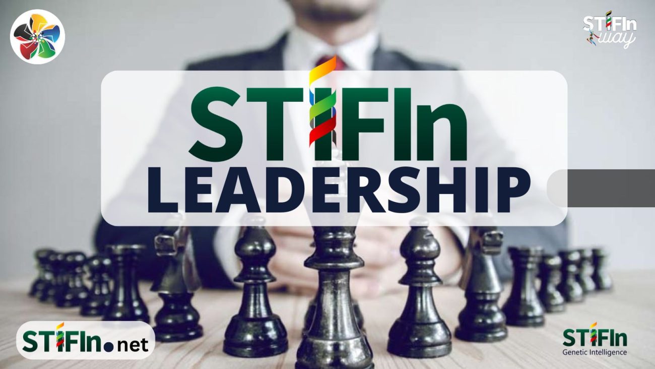 STIFIn Leadership 081809280203 stifin.net