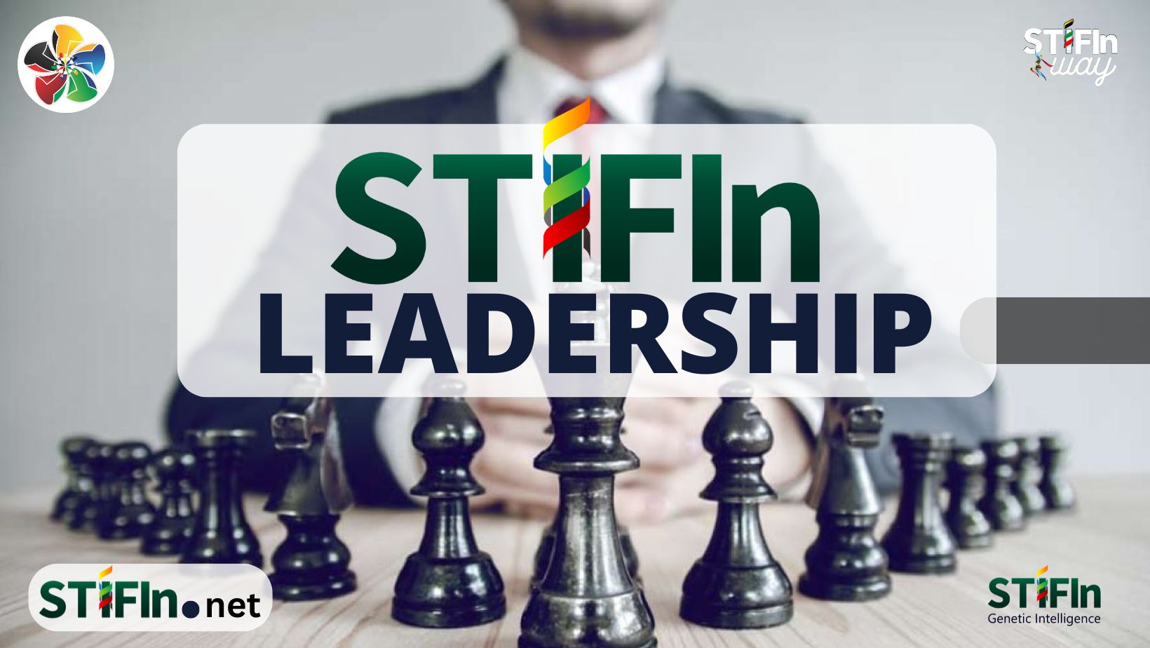 STIFIn Leadership 081809280203 stifin.net